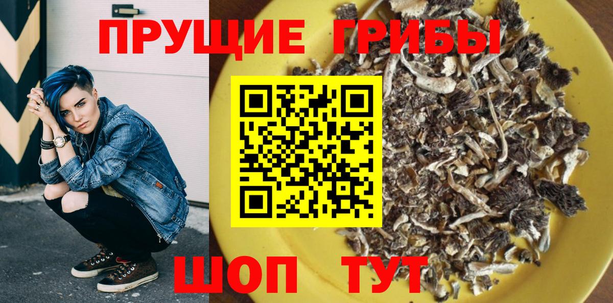 Галлюциногенные грибы MAGIC MUSHROOMS  Вход с VPN  Нижний Новгород 