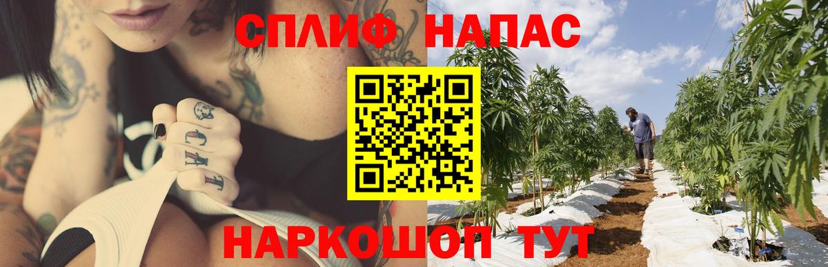 Марихуана AK-47  Вход с VPN  Бошки марихуана AK-47  Нижний Новгород 